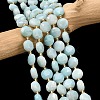 Natural Flower Amazonite Beads Strands G-C116-A183-02-1