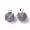 Natural Grey Agate Charms X-G-S359-015D-2