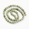 Natural Gemstone Beads GSR6mmC032-3