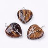 Natural Tiger Eye Pendants G-G713-F10-1