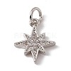 Brass Micro Pave Cubic Zirconia Charms ZIRC-F132-02P-1