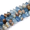 Natural Blue Calcite Beads Strands G-N327-05-29-4