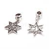 Alloy European Dangle Charms PALLOY-JF00001-17-2