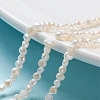 Natural Cultured Freshwater Pearl Beads Strands PEAR-I004-08C-1