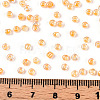 8/0 Glass Seed Beads SEED-A015-3mm-2202-5