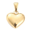 304 Stainless Steel Pendants STAS-P278-01K-G-2