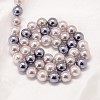 Round Shell Pearl Bead Strands X-BSHE-L011-8mm-L030-3