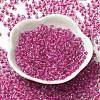 6/0 Transparent Inside Colours Glass Seed Beads SEED-P006-01A-04-2