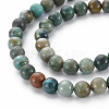 Natural Chrysocolla Beads Strands G-S376-004A-3