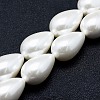Electroplate Shell Pearl Beads Strands BSHE-G010-12x16mm-01-1