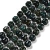 Natural Moss Agate Beads Strands G-NH0010-B01-01-1