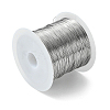 Non-Tarnish 316 Surgical Stainless Steel Wire TWIR-L004-01E-P-2