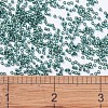 MIYUKI Delica Beads SEED-J020-DB0607-4