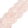 Dyed Natural White Jade Beads Strands G-N370-01A-15-2