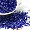 Glass Seed Beads SEED-S042-04B-27-1