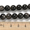 Natural Silver Obsidian Beads Strands G-S150-20A-8mm-5