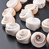 Natural Spiral Shell Bead Strands X-SSHEL-N034-106-4