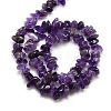 Natural Amethyst Chips Beads Strands G-P030-02-3