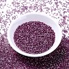 MIYUKI Delica Beads X-SEED-J020-DB1880-2
