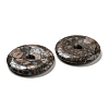 Natural Glaucophane Pendants G-P532-01A-05-2