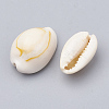Cowrie Shell Beads SSHEL-T004-07-2