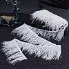 5M Fashion Ostrich Feather Trimming DIY-GF0009-45B-02-4
