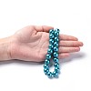 Eco-Friendly Dyed Glass Pearl Round Beads Strands HY-A002-12mm-RB073N-5