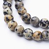 Natural Dalmatian Jasper Bead Strands G-R345-6mm-51-3
