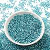 Glass Seed Beads SEED-S042-04B-23-2