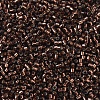 MIYUKI Delica Beads Small SEED-JP0008-DBS0150-3