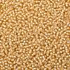 TOHO Round Seed Beads X-SEED-TR08-0923-2