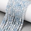 Natural Aquamarine Beads Strands G-L587-C02-01-2