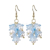 Flower Transparent Spray Painted Glass Cluster Earrings EJEW-JE05741-4