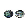 Natural Paua Shell Disc Charms SSHEL-N040-19A-2