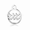 Non-Tarnish 201 Stainless Steel Charms STAS-T014-T505-11-1