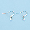304 Stainless Steel French Earring Hooks STAS-S111-004S-1