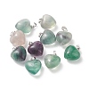 Natural Fluorite Pendants G-I311-A20-1