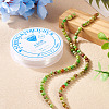DIY Natural Regalite/Imperial Jasper/Sea Sediment Jasper Beads Bracelets  Making KIts DIY-TA0002-69D-6