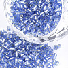 Grade A Glass Seed Beads SEED-S022-04A-12-1