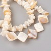 White Shell Chip Beads Stretch Bracelets BJEW-JB03983-01-2