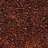 FGB 8/0 Grade A Round Glass Seed Beads SEED-Q006-3mm-F24-2