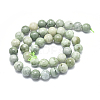 Natural Myanmar Jade/Burmese Jade Beads Strands G-D0001-08-10mm-2