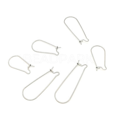 Stainless Steel Hoop Earring Findings STAS-WH0014-34D-P-1