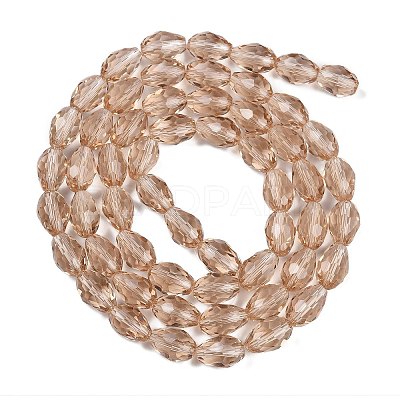 Transparent Glass Beads Strands LS-EGLA-N013-T10mm-D23-1