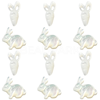 6Pcs 2 Styles Natural White Shell Beads BSHE-CJ0001-05-1