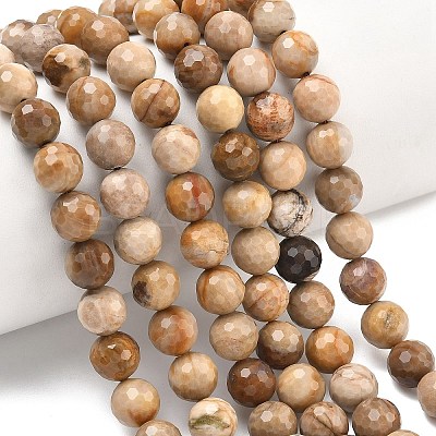 Natural Petrified Wood Beads Strands G-L642-F09-8mm-1