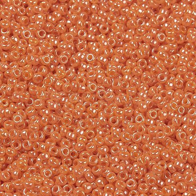 MIYUKI Round Rocailles Beads X-SEED-G009-RR0423-1