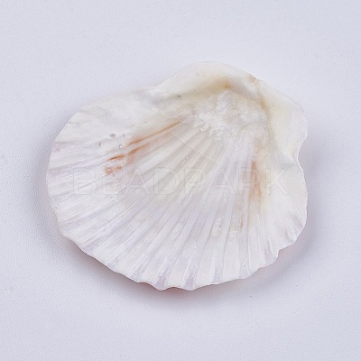 Beautiful Beach Sea Shells DIY-WH0044-01-1