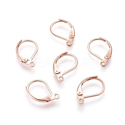 304 Stainless Steel Leverback Earring Findings STAS-P166-12RG-1