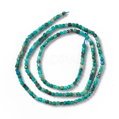 Natural Chrysocolla Beads Strands G-F717-06-1